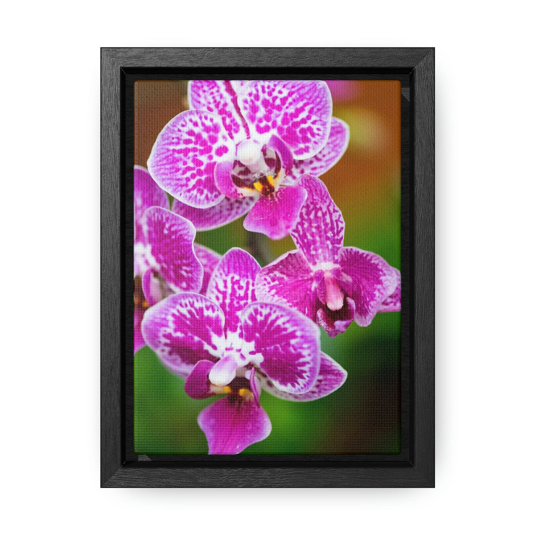 Spotted Orchid - Canvas with Frame - Visiting This World