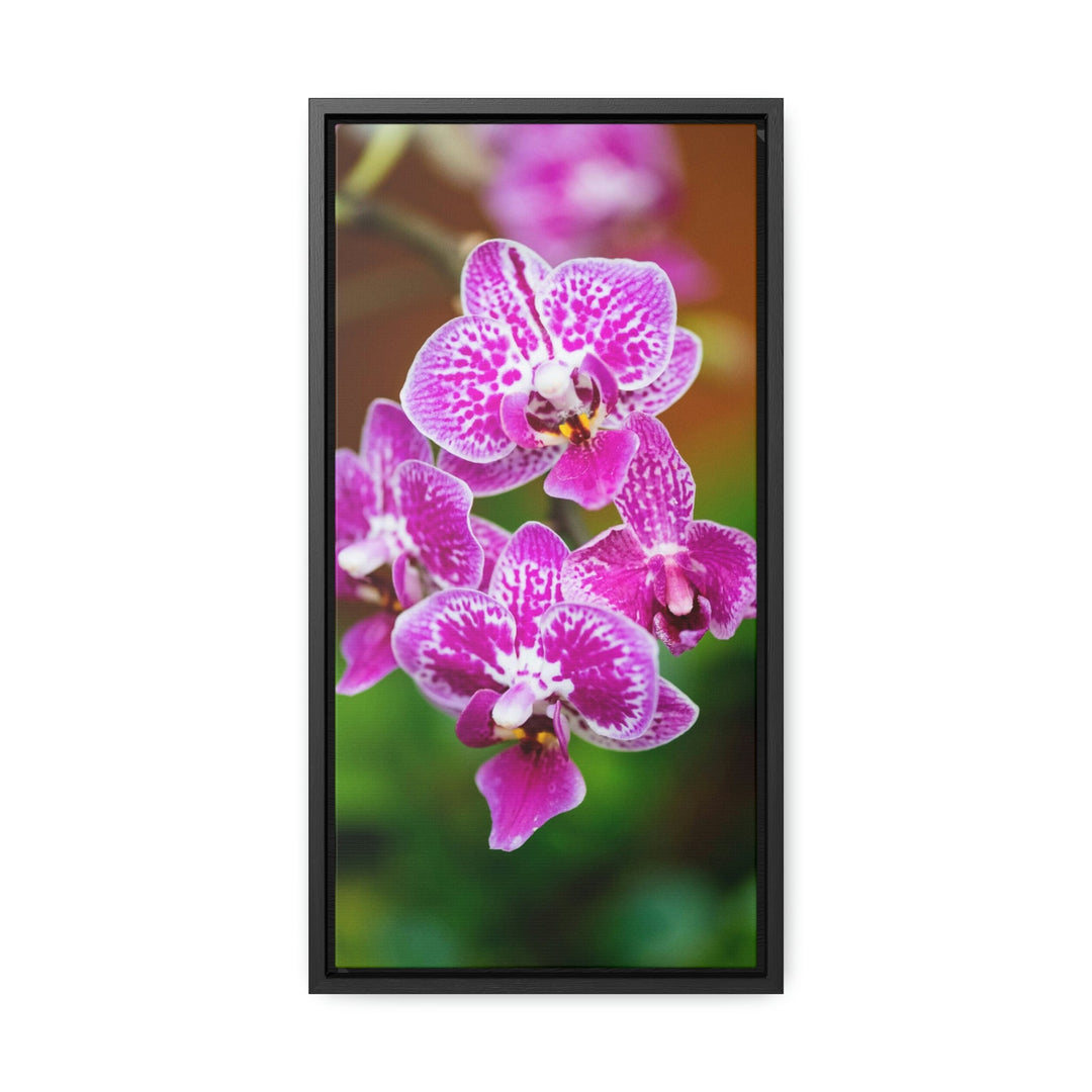 Spotted Orchid - Canvas with Frame - Visiting This World