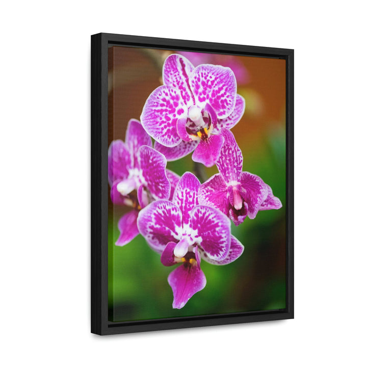 Spotted Orchid - Canvas with Frame - Visiting This World