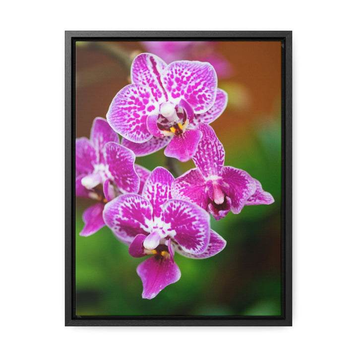 Spotted Orchid - Canvas with Frame - Visiting This World