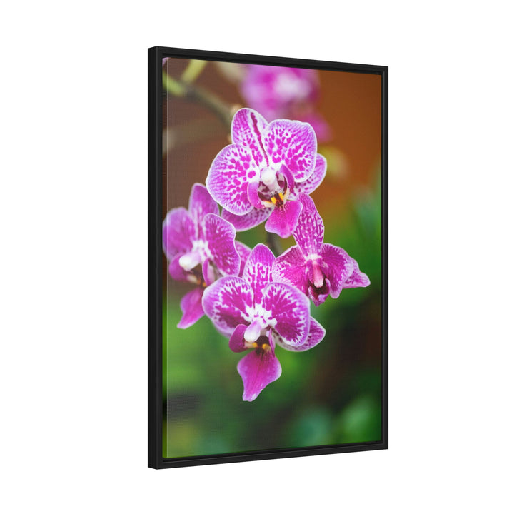 Spotted Orchid - Canvas with Frame - Visiting This World