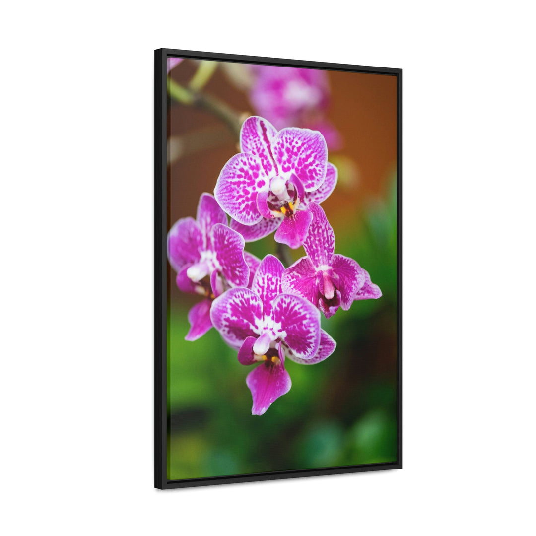 Spotted Orchid - Canvas with Frame - Visiting This World