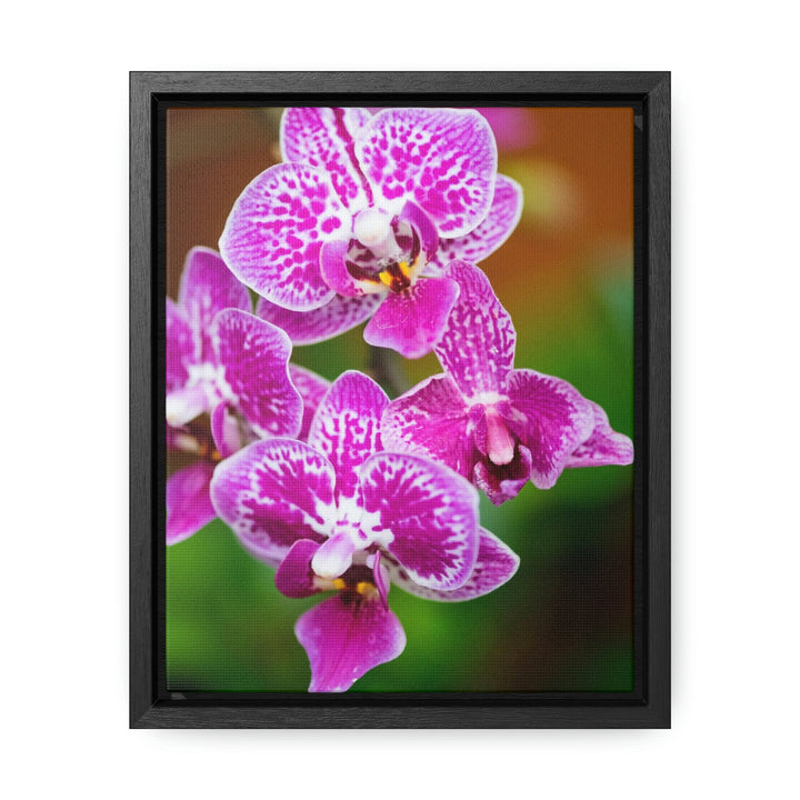 Spotted Orchid - Canvas with Frame - Visiting This World