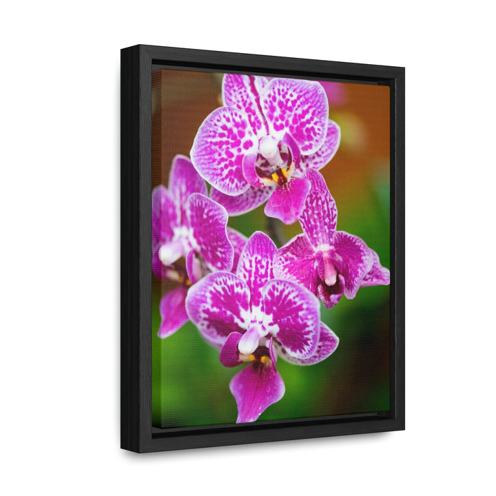 Spotted Orchid - Canvas with Frame - Visiting This World