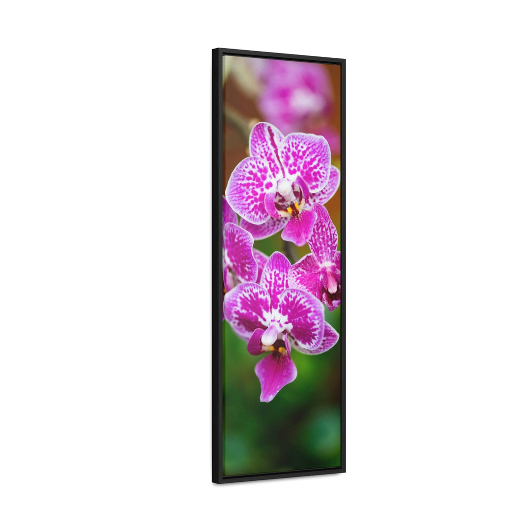 Spotted Orchid - Canvas with Frame - Visiting This World