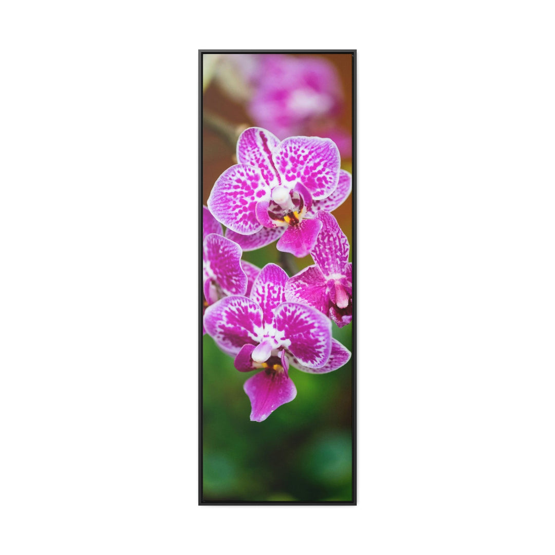 Spotted Orchid - Canvas with Frame - Visiting This World