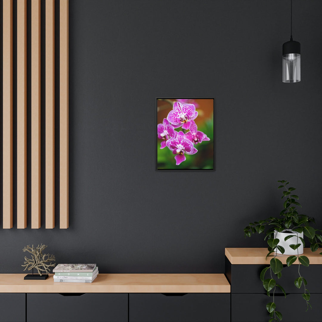 Spotted Orchid - Canvas with Frame - Visiting This World