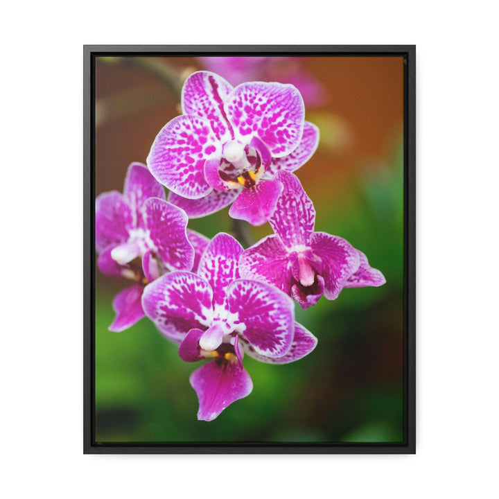 Spotted Orchid - Canvas with Frame - Visiting This World