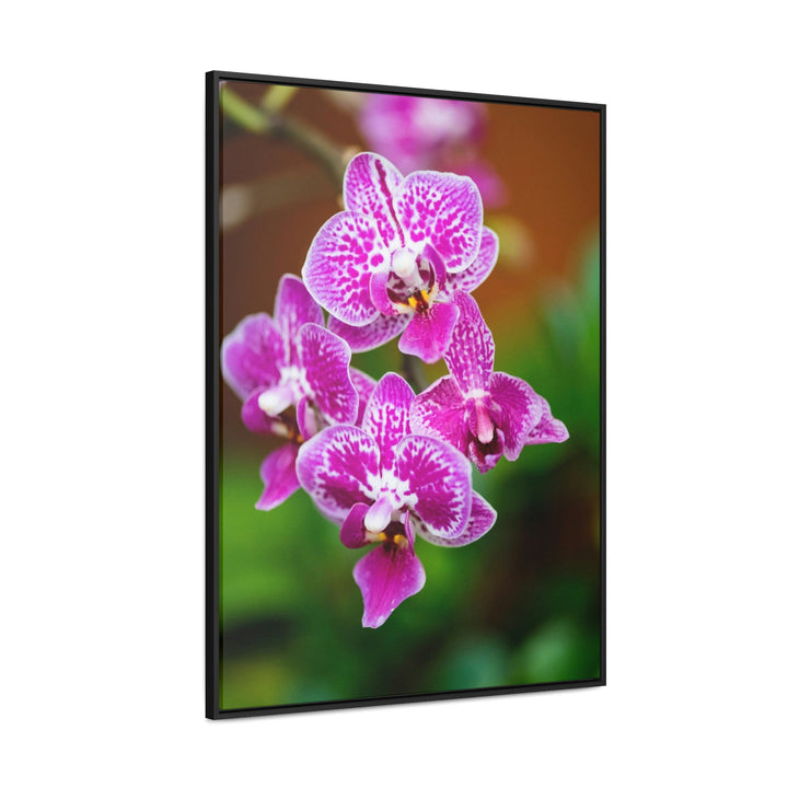 Spotted Orchid - Canvas with Frame - Visiting This World