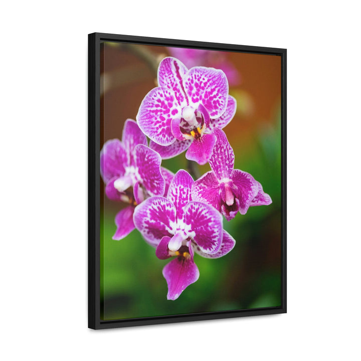 Spotted Orchid - Canvas with Frame - Visiting This World