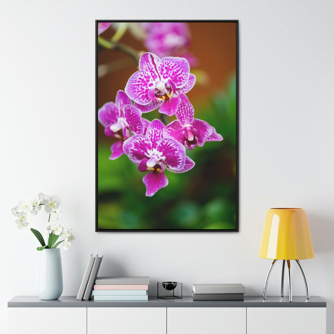 Spotted Orchid - Canvas with Frame - Visiting This World