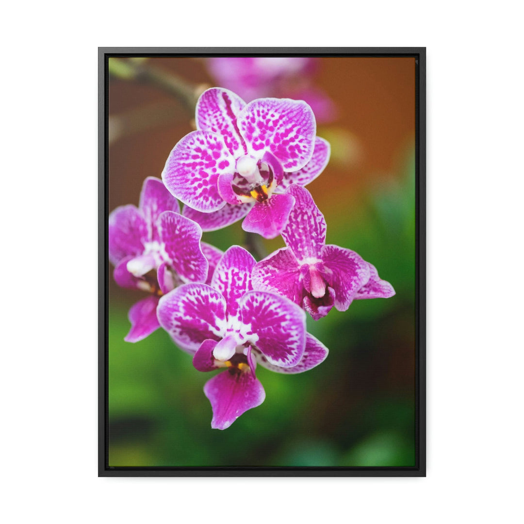 Spotted Orchid - Canvas with Frame - Visiting This World