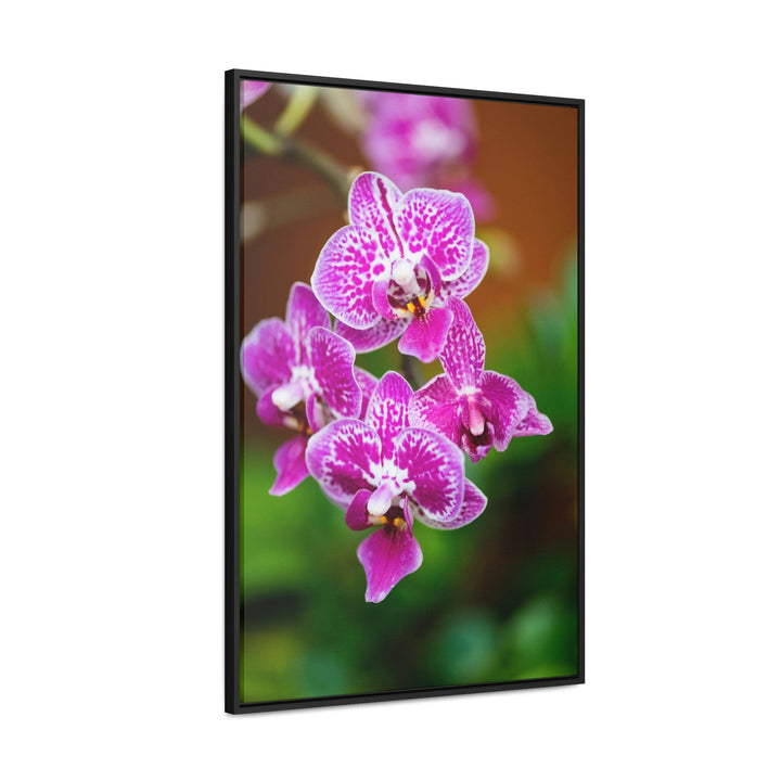 Spotted Orchid - Canvas with Frame - Visiting This World