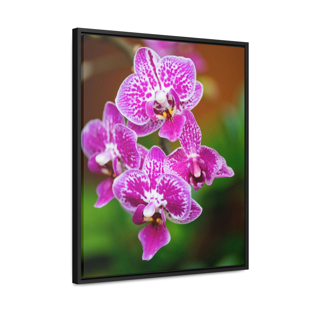 Spotted Orchid - Canvas with Frame - Visiting This World