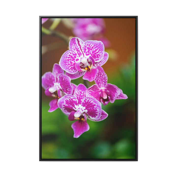 Spotted Orchid - Canvas with Frame - Visiting This World