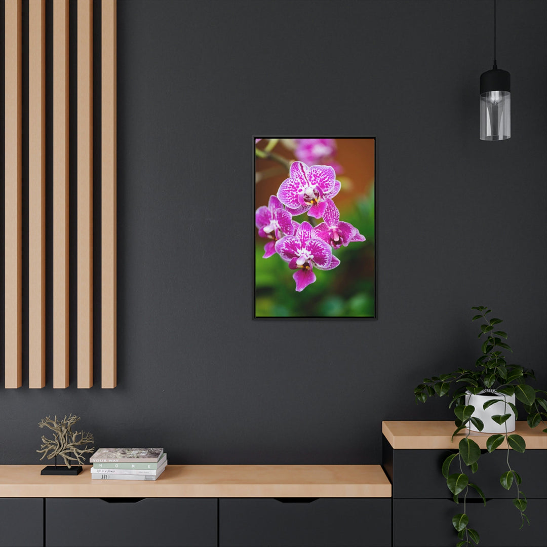 Spotted Orchid - Canvas with Frame - Visiting This World