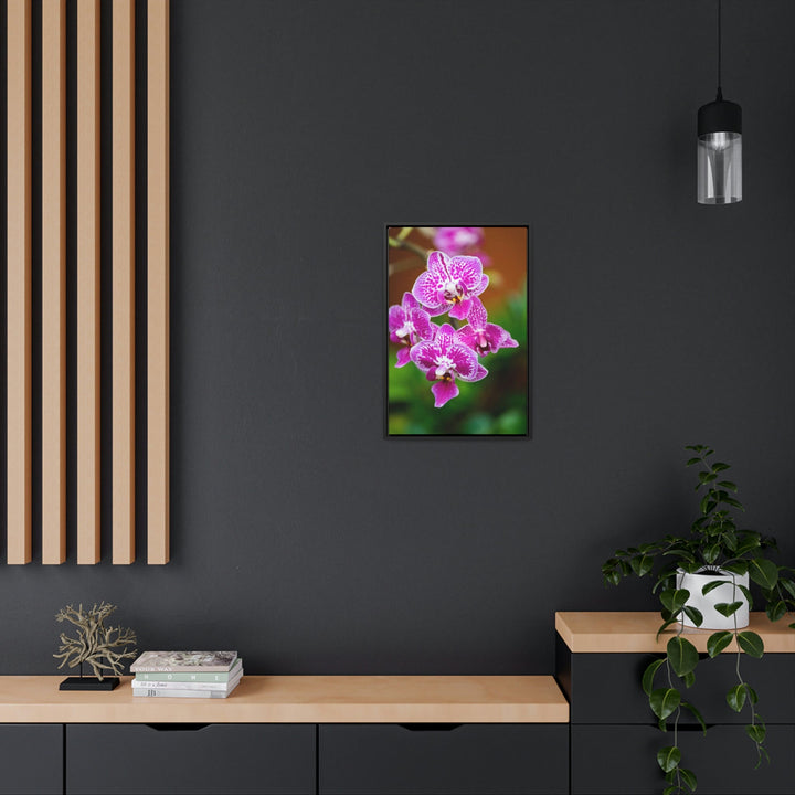 Spotted Orchid - Canvas with Frame - Visiting This World