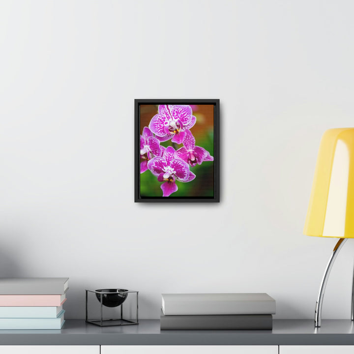 Spotted Orchid - Canvas with Frame - Visiting This World