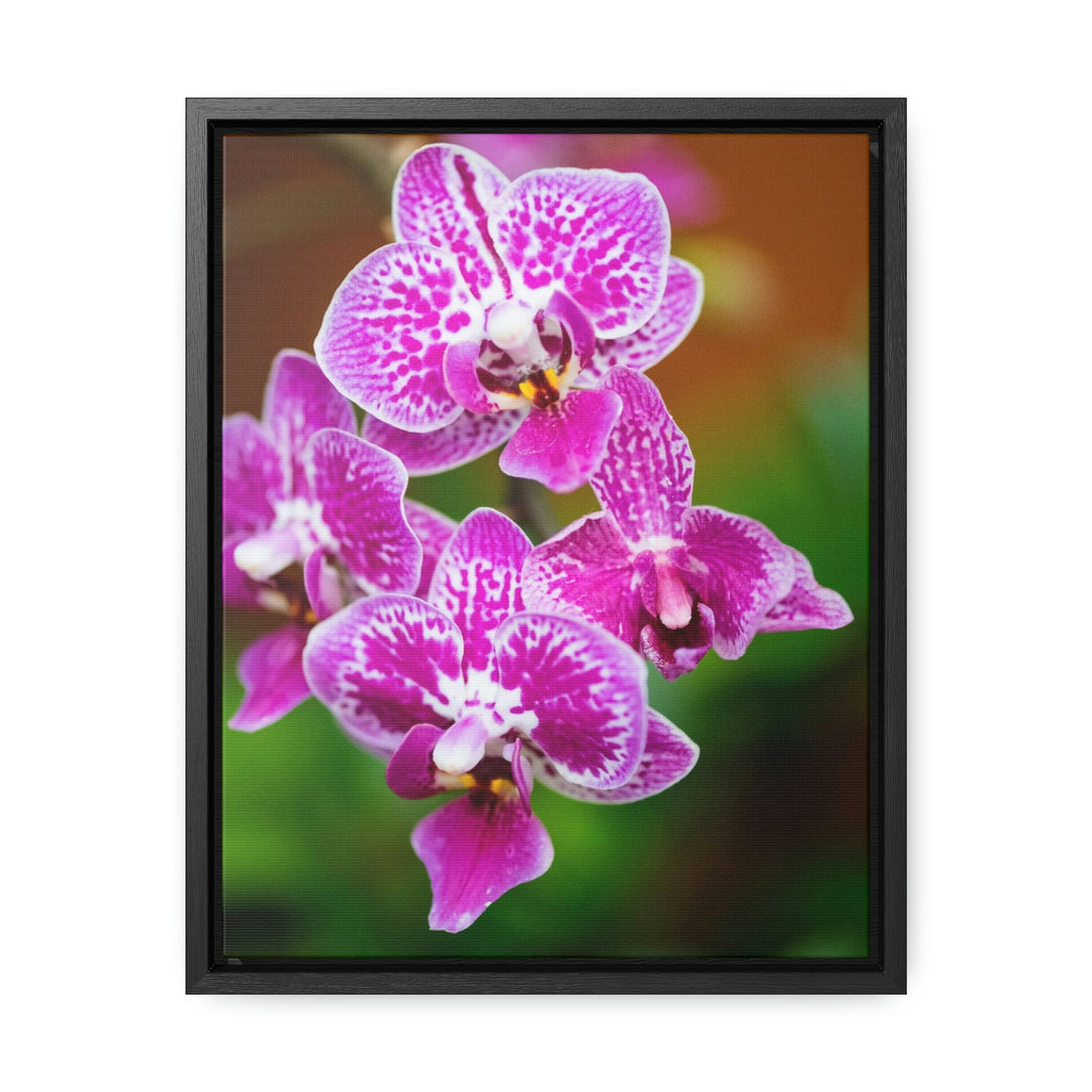 Spotted Orchid - Canvas with Frame - Visiting This World