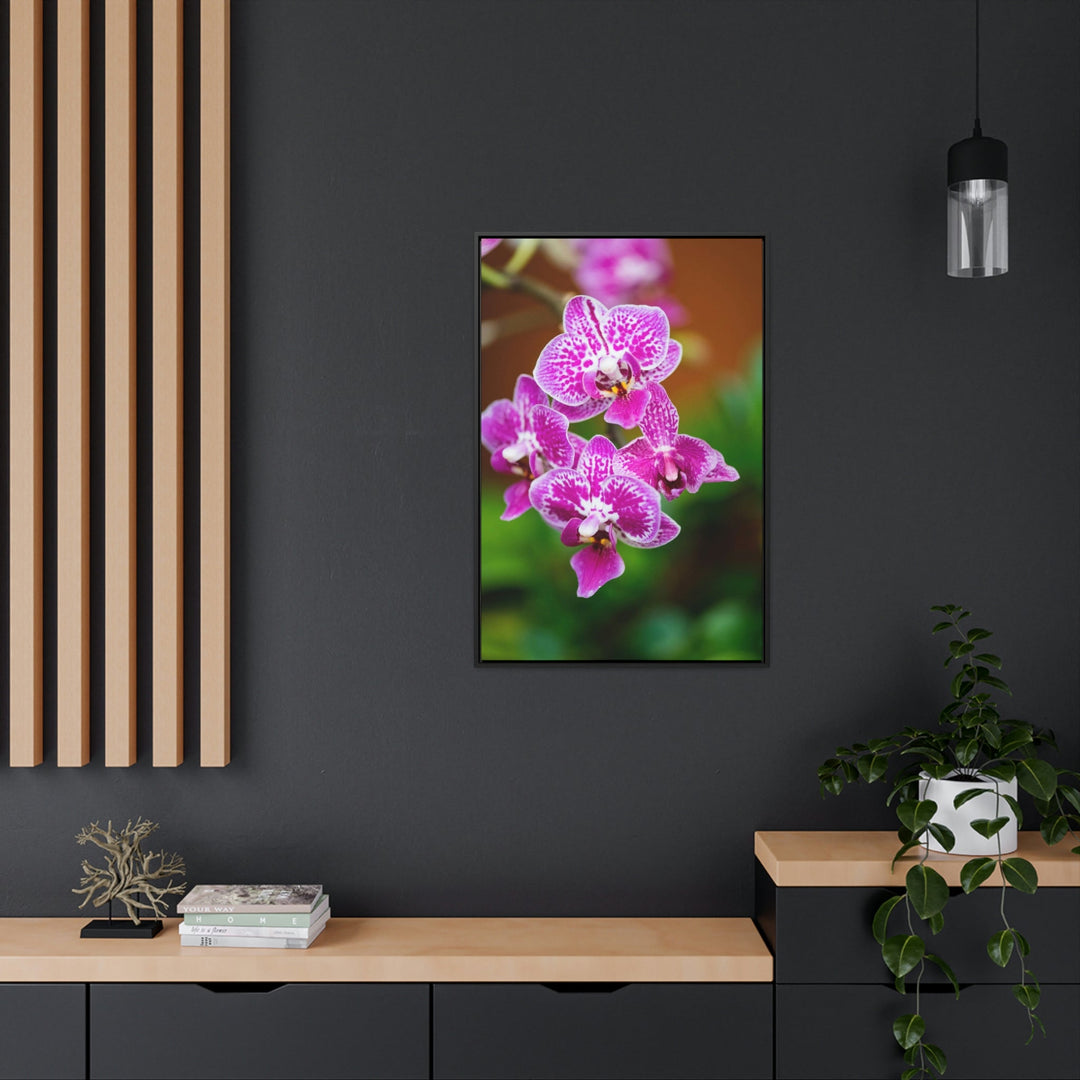 Spotted Orchid - Canvas with Frame - Visiting This World