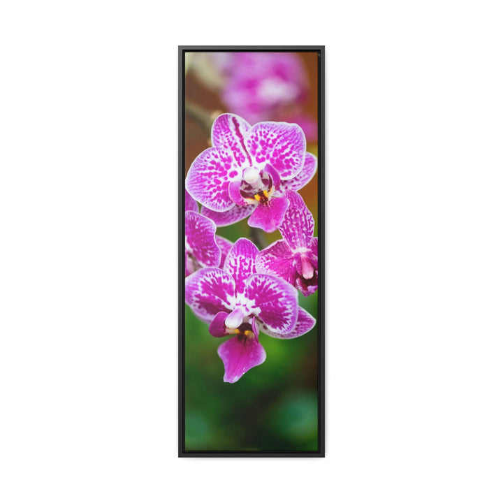 Spotted Orchid - Canvas with Frame - Visiting This World