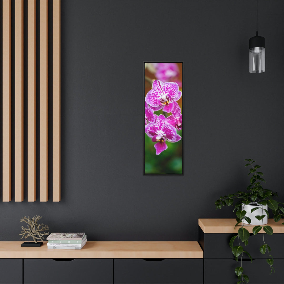 Spotted Orchid - Canvas with Frame - Visiting This World