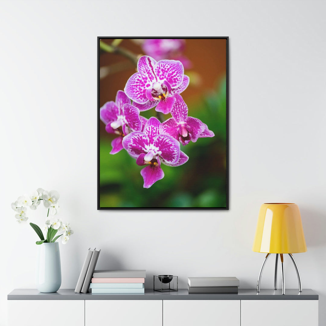 Spotted Orchid - Canvas with Frame - Visiting This World