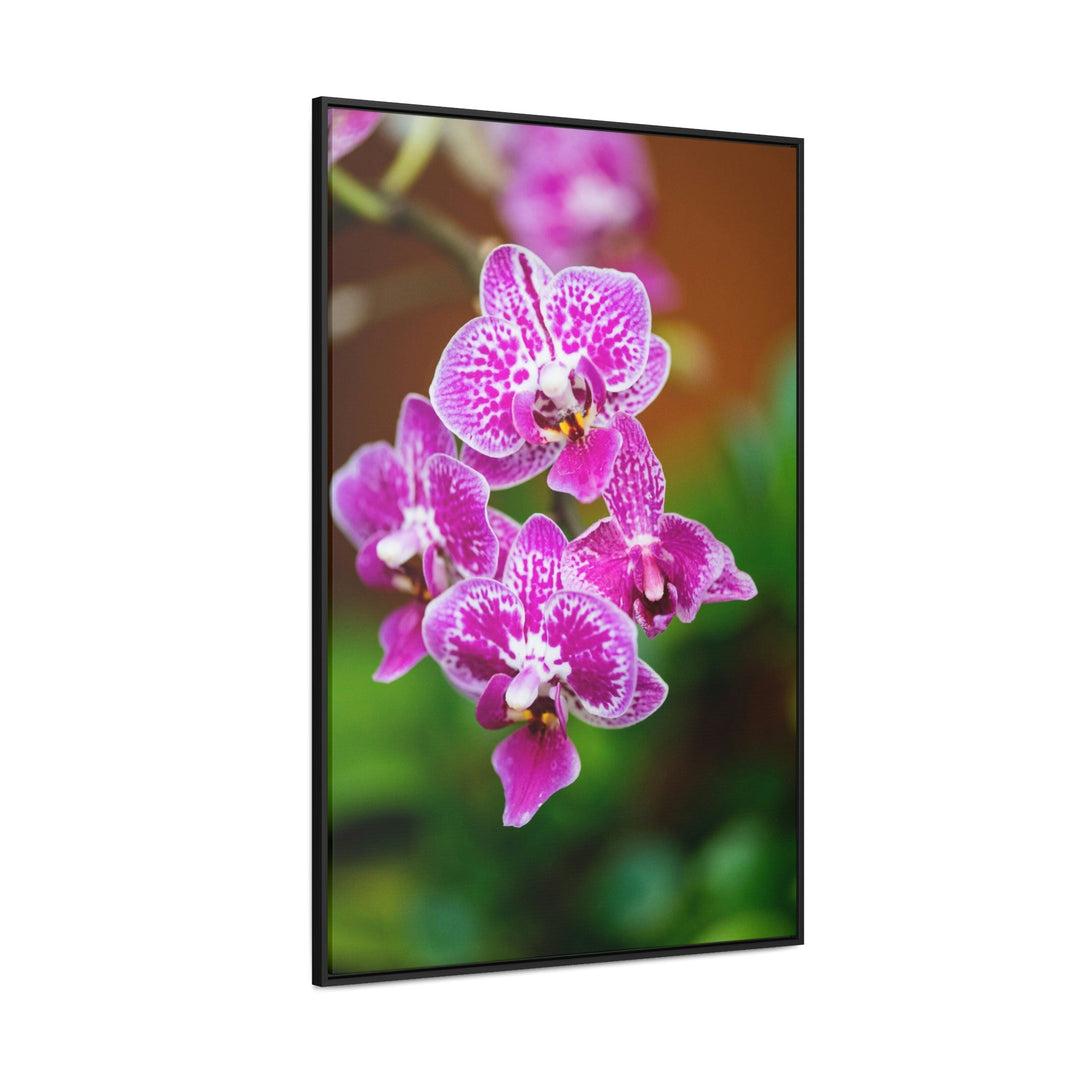 Spotted Orchid - Canvas with Frame - Visiting This World