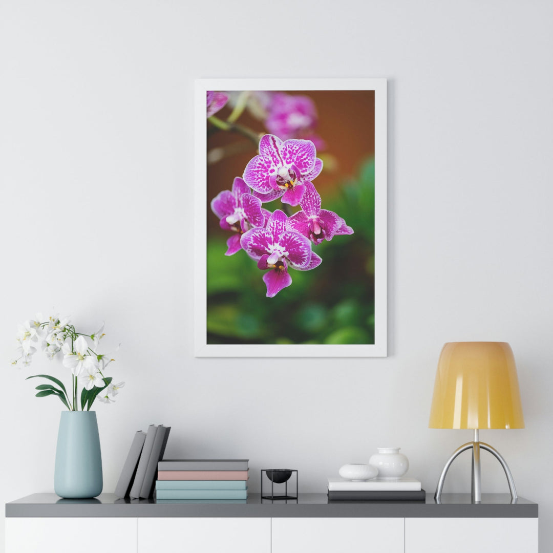 Spotted Orchid - Framed Print - Visiting This World