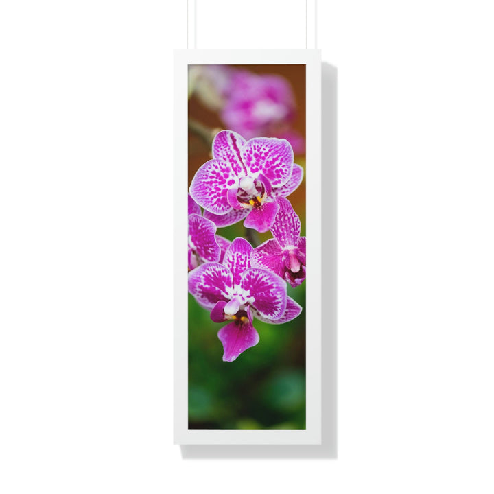 Spotted Orchid - Framed Print - Visiting This World