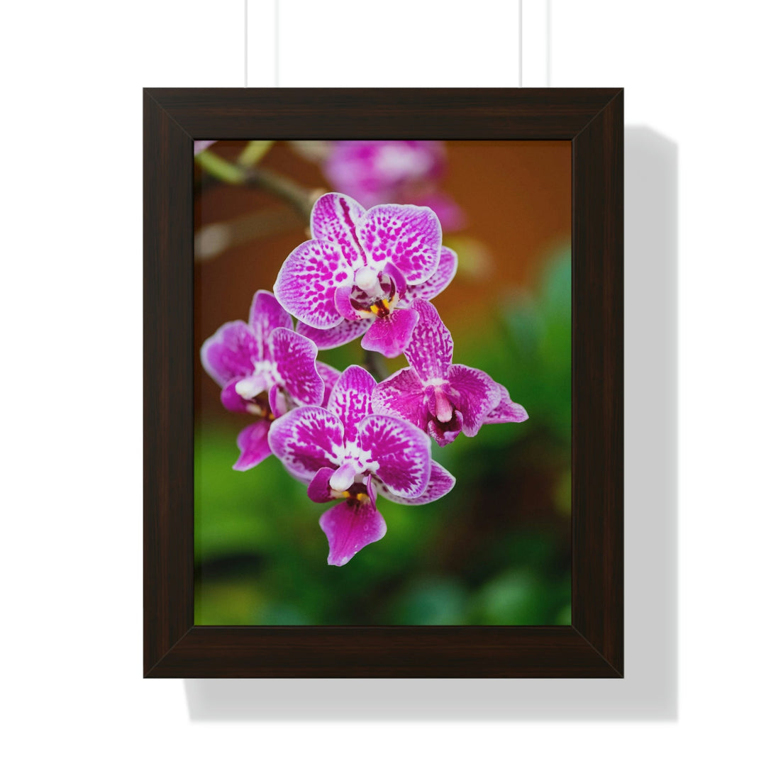 Spotted Orchid - Framed Print - Visiting This World