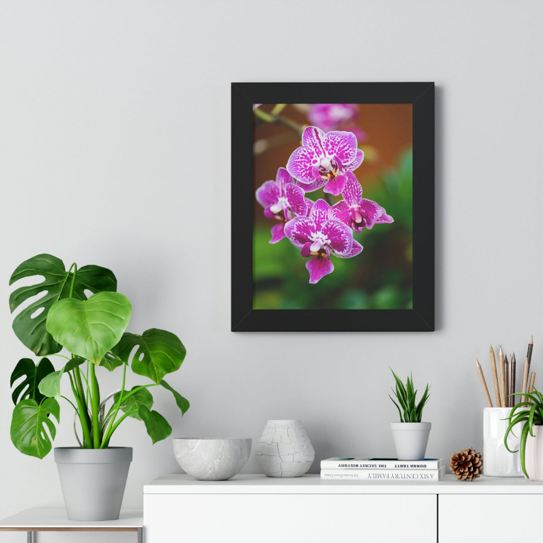 Spotted Orchid - Framed Print - Visiting This World