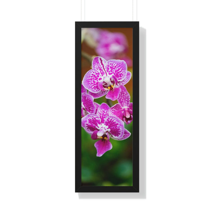 Spotted Orchid - Framed Print - Visiting This World