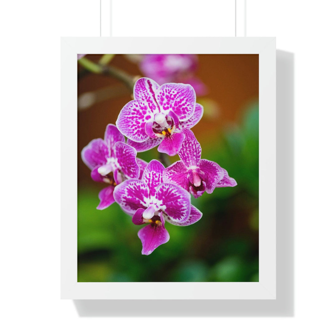 Spotted Orchid - Framed Print - Visiting This World