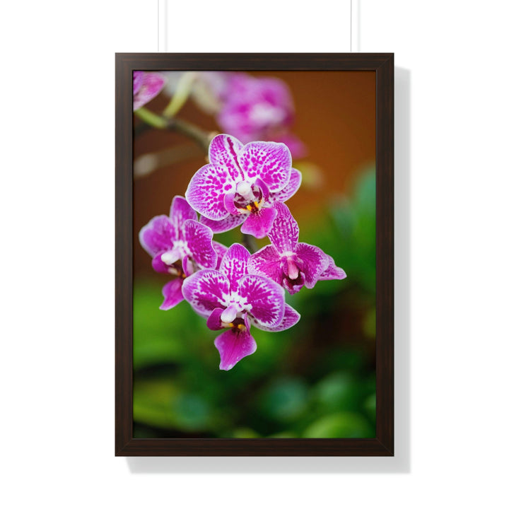 Spotted Orchid - Framed Print - Visiting This World