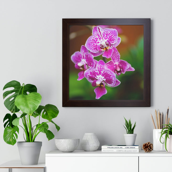 Spotted Orchid - Framed Print - Visiting This World