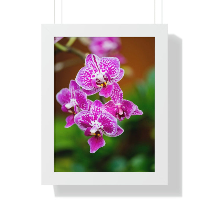 Spotted Orchid - Framed Print - Visiting This World