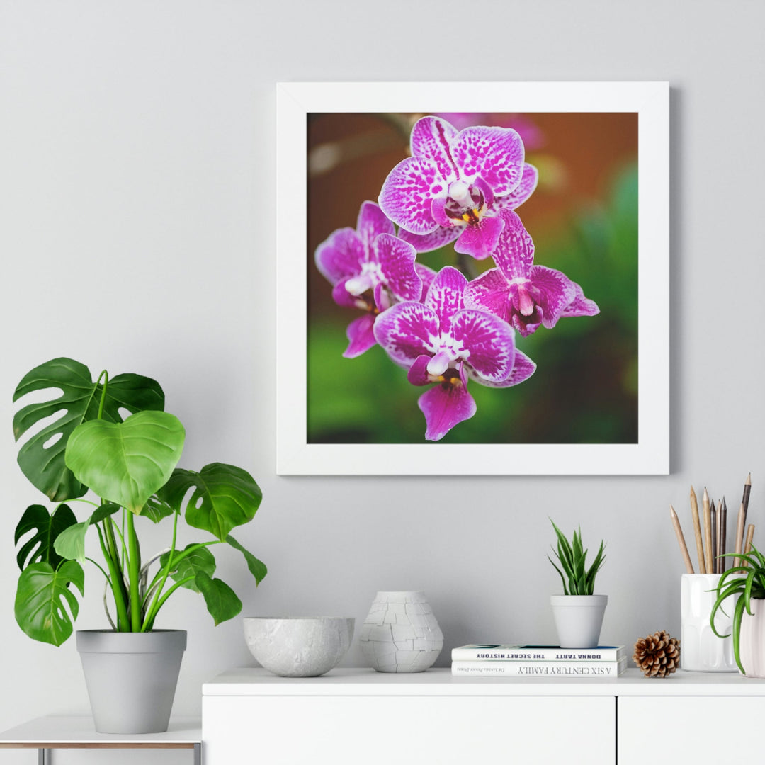 Spotted Orchid - Framed Print - Visiting This World