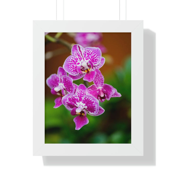 Spotted Orchid - Framed Print - Visiting This World