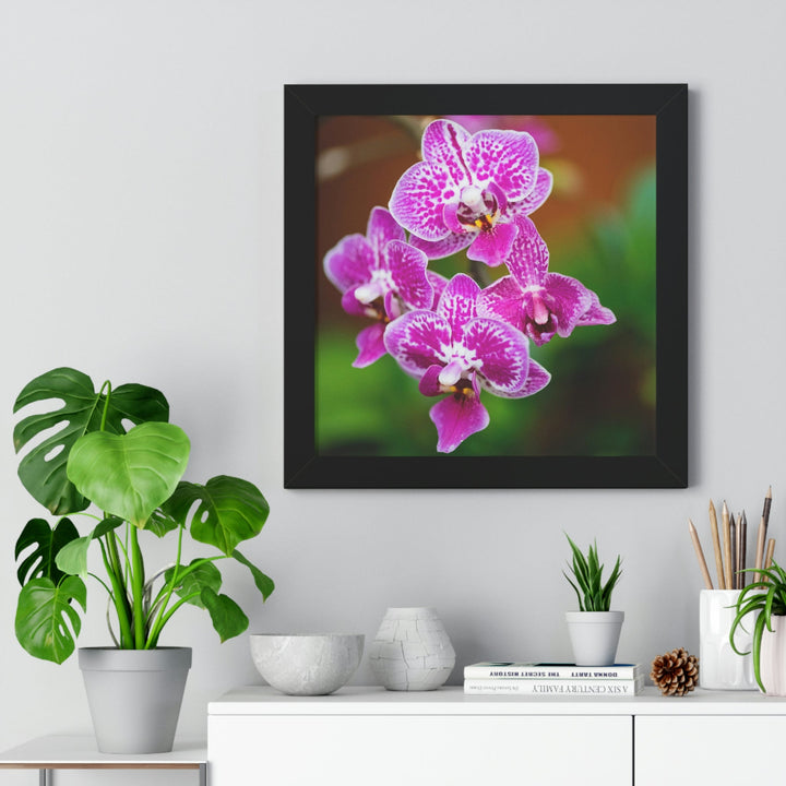 Spotted Orchid - Framed Print - Visiting This World