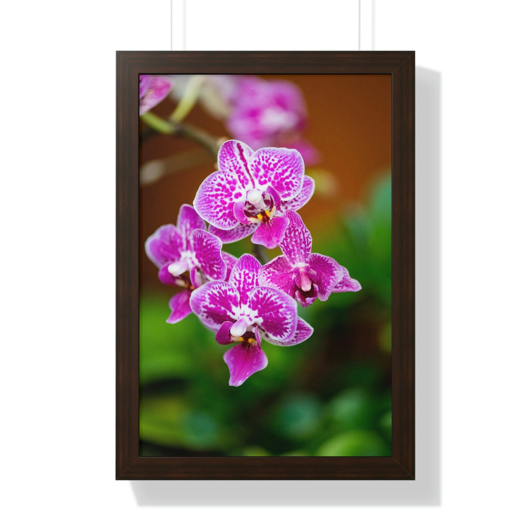 Spotted Orchid - Framed Print - Visiting This World