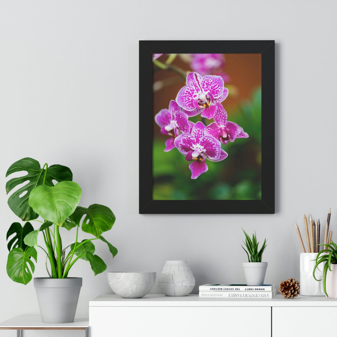 Spotted Orchid - Framed Print - Visiting This World