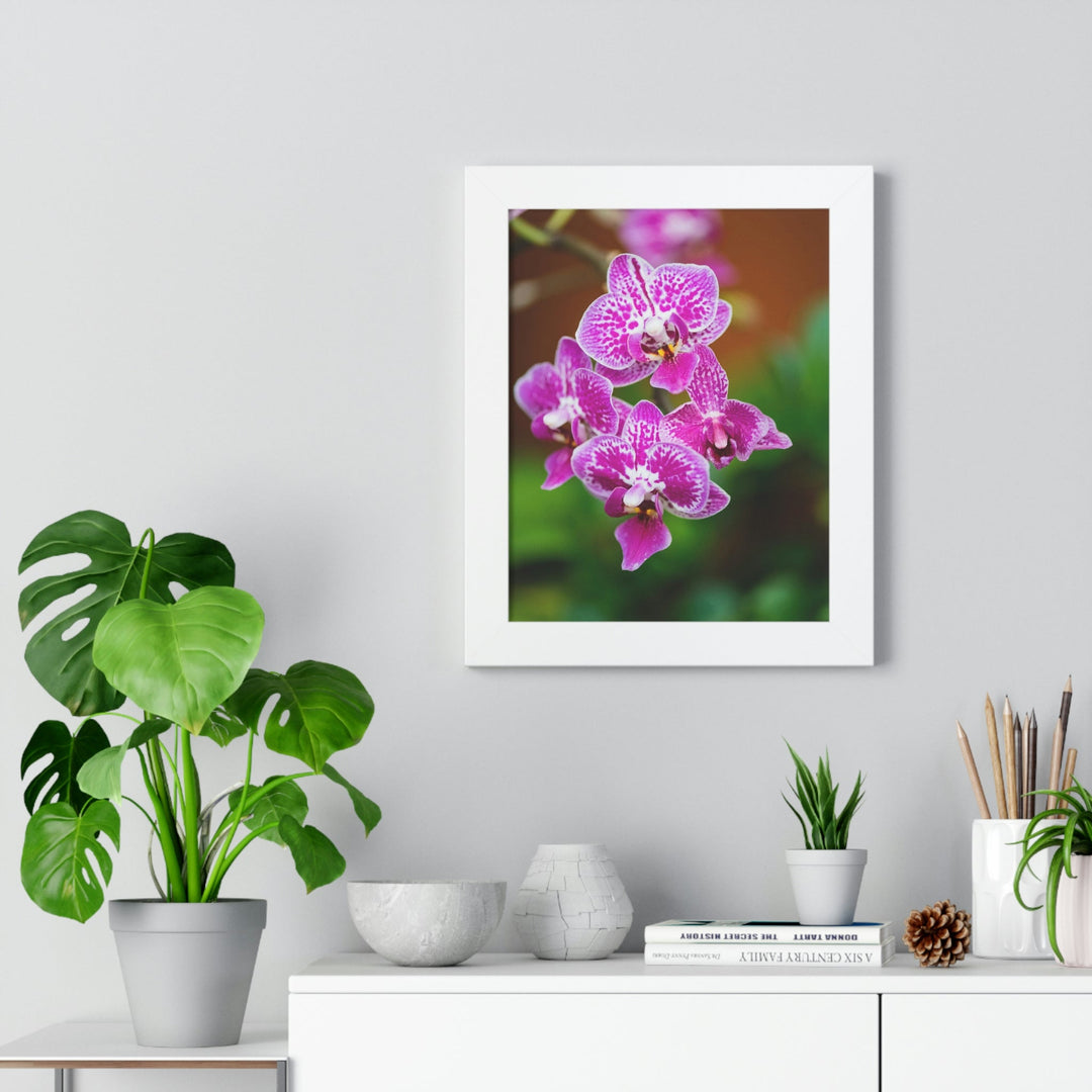 Spotted Orchid - Framed Print - Visiting This World