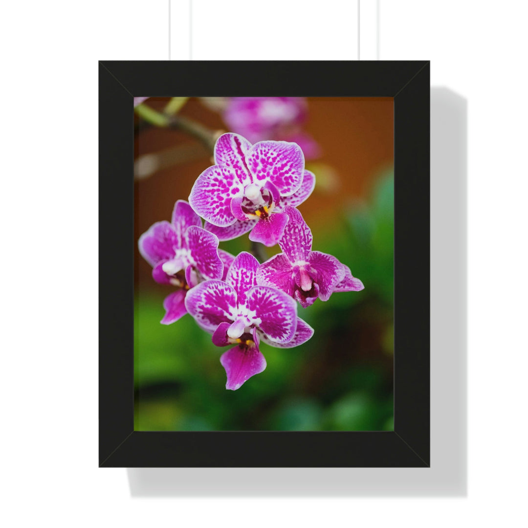 Spotted Orchid - Framed Print - Visiting This World