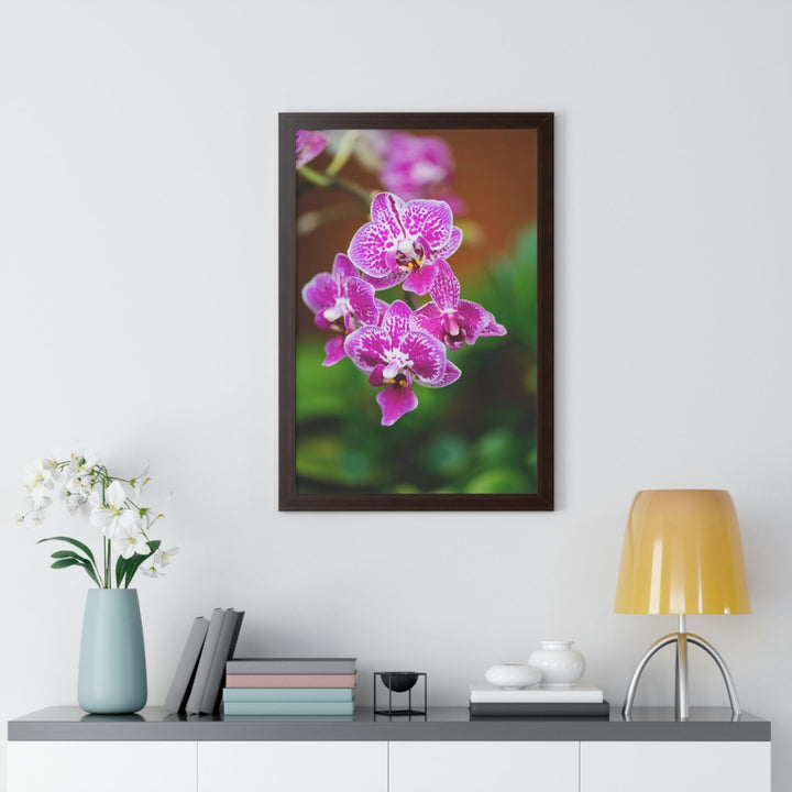 Spotted Orchid - Framed Print - Visiting This World