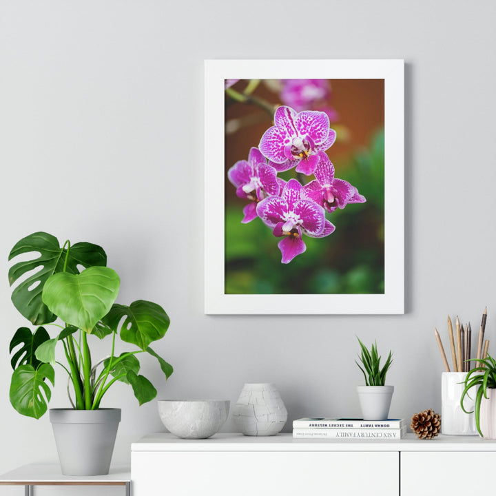 Spotted Orchid - Framed Print - Visiting This World