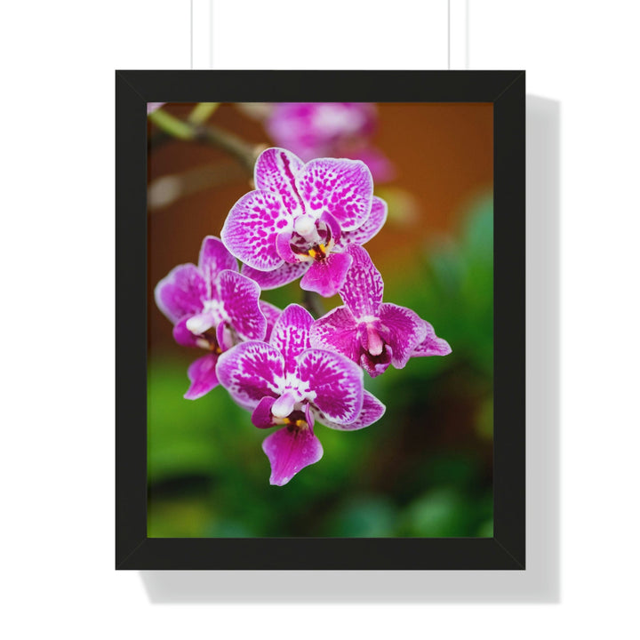 Spotted Orchid - Framed Print - Visiting This World