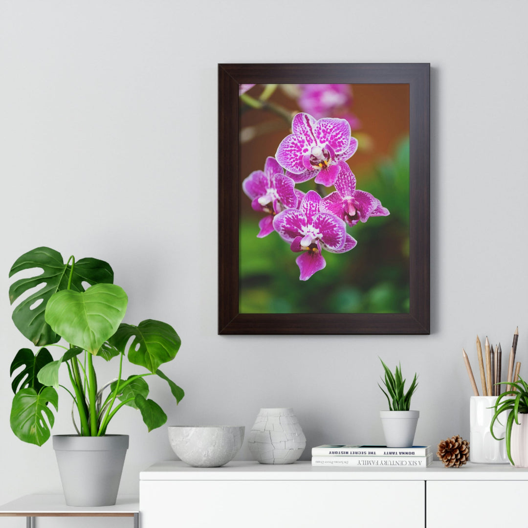 Spotted Orchid - Framed Print - Visiting This World