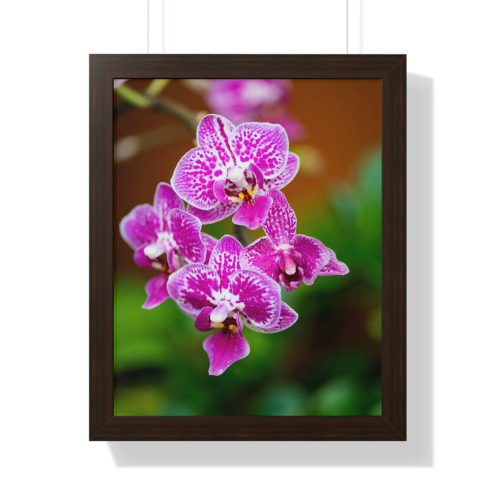 Spotted Orchid - Framed Print - Visiting This World