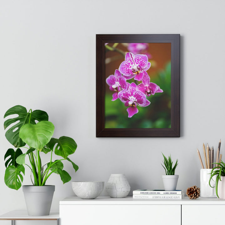 Spotted Orchid - Framed Print - Visiting This World